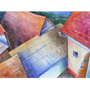 Serge Vasilendiuc, Rooftops from Boholț - tower view, 2016 r.