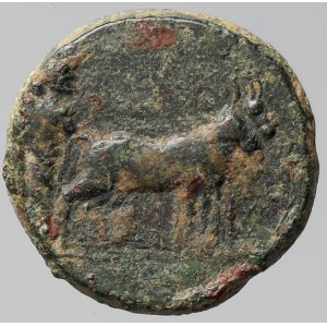 Augustus (27 př.n.l. - 14) AE-16