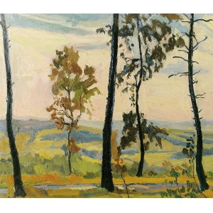 Stanislaw KAMOCKI (1875-1944), Landscape - On the edge of the forest