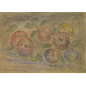 Emil KRCHA (1894-1972), Fruits