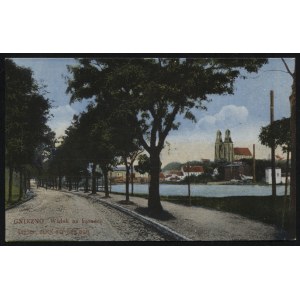 GNIEZNO. Gnesen : Blick auf den Dom ; przed 1920. J. Themal, Posen. Pocztówka barwna 9x14 cm, verso czyste...