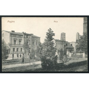 MOGILNO. Mogilno : Aleja ; ok. 1910. Kunstverlag Hermann Lukowski, Breslau. Pocztówka jednobarwna 9x14 cm...