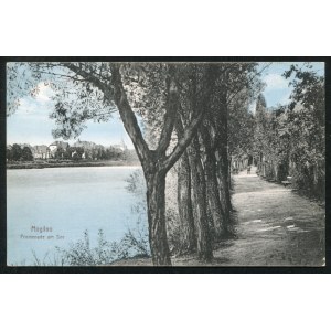 MOGILNO. Mogilno : Promenade am See ; ok. 1910. Schlesische Lichtdruck- u. graph. Kunstanstalt, Breslau...