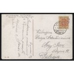 POZNAŃ. Posen : Botanischer Garten = Poznań : Ogród botaniczny ; ok. 1920. Pocztówka barwna 9x14 cm...