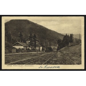 SKOLE. Skole : widok na górę „Daniełowiec” ; ok. 1930. Wyd. D. Brauner, Skole. Pocztówka jednobarwna 9x14 cm...