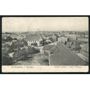 STRZELNO. Pozdrowienie z Strzelna : widok ogólny z wieży Prokopa ; po 1905. Pocztówka jednobarwna 9x14 cm...