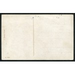 TORUŃ. Thorn : der Dansker ; ok. 1910. J. Themal, Posen. Pocztówka barwna 9x14 cm, verso czyste...
