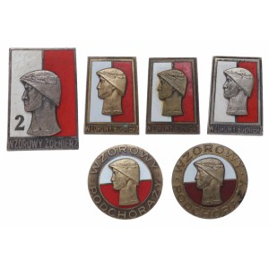 Poland, Badge of a Model Cadet | Badge of a Model Soldier, set of 6 pieces