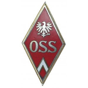 Polen, Abzeichen der Offiziersschule für Kraftfahrzeuge von General Aleksander Waszkiewicz