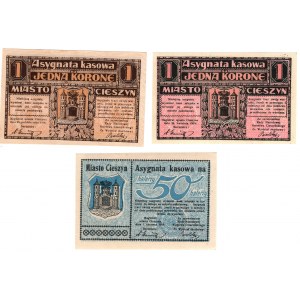 Cieszyn (Teschen), 1 korona 1919 x 2, 50 halerzy 1919 - zestaw 3 sztuk