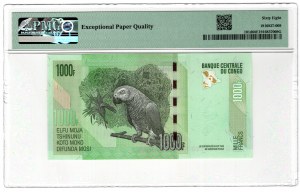 Congo, 100 francs 2022 - TOP POP