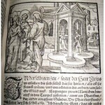 HOFMEISTER- POSTILLA EVANGELICA wyd. 1575 OPRAWA SKÓRA NA DESCE, FOLIO, DRZEWORYTY