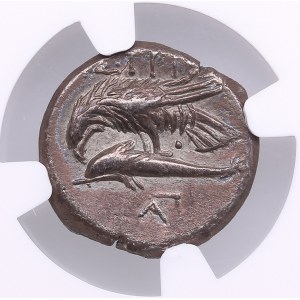 Moesia, Istros AR Drachm (4.85g) 4th Century BC - NGC Ch XF