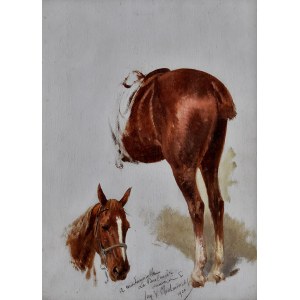 Jan CHEŁMIŃSKI (1851-1925), Studie von Kopf und Hinterteil eines Pferdes, 1920