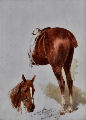 Jan CHEŁMIŃSKI (1851-1925), „Studium głowy i zadu końskiego”, 1920