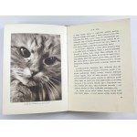 EIPPER Paweł - Kicie i Kizie - Lwów 1930