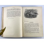 PINI Tadeusz - Wieczory Polskie - Lwów 1909 [150 ilustracji]