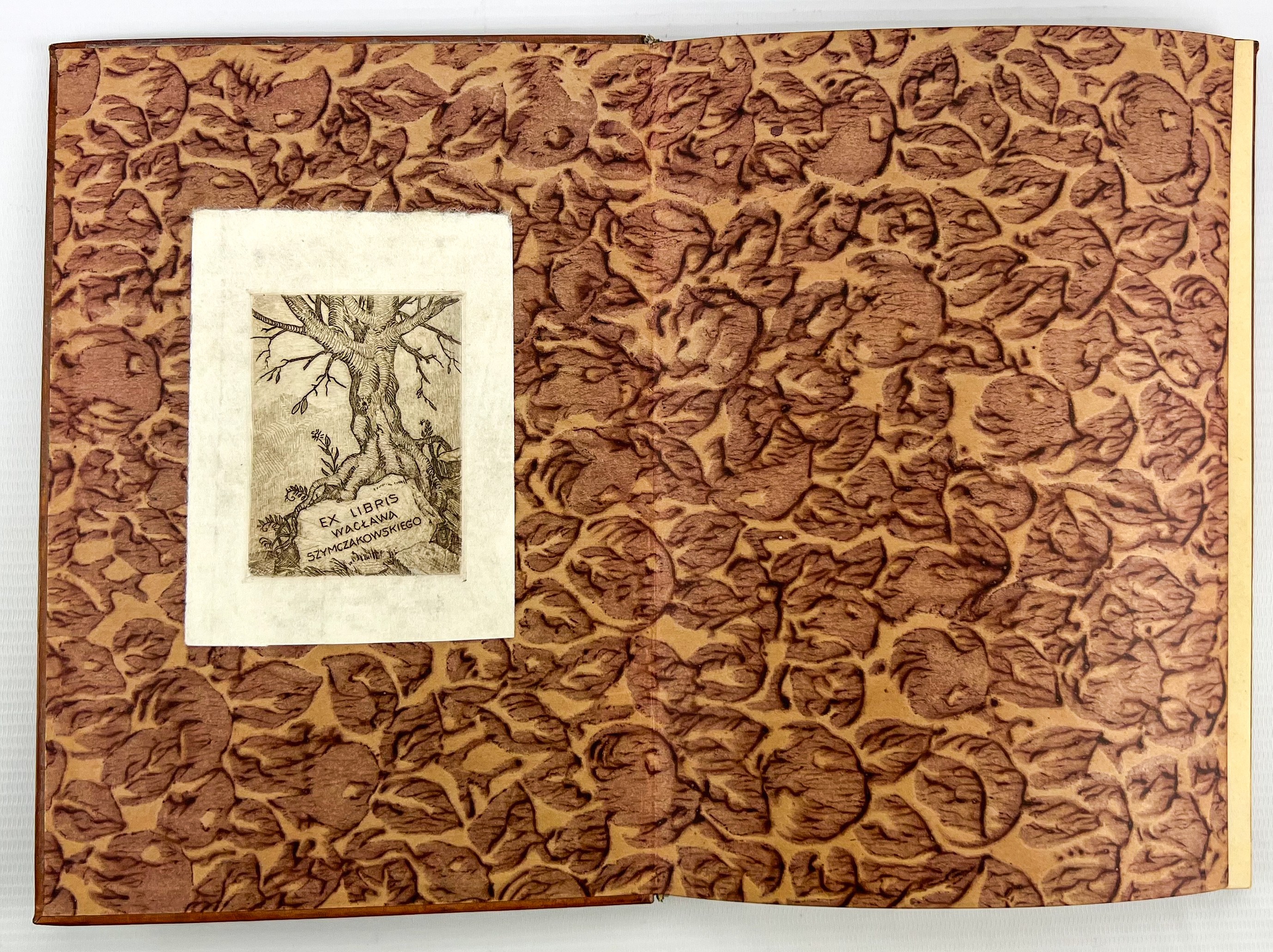 LES REALISMES　1919- 1939　洋書 ZEGADŁOWICZ Emil - Lampka Oliwna - Kraków 1925 [oprawa