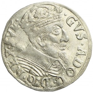 Gustav II Adolf, Elbląg 1629 penny, with mirror
