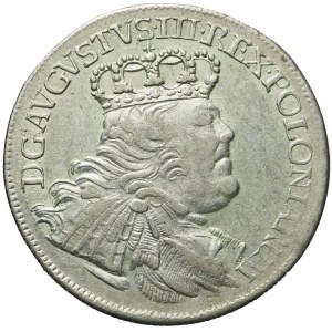 August III Sas, Ort 1754 EC, Lipsk, buldogowate popiersie, ładny