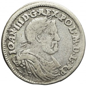 Jan III Sobieski, Ort 1677, Bydgoszcz, M-H przykryte gałązkami