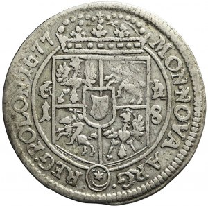 Jan III Sobieski, Ort 1677, Bydgoszcz, M-H przykryte gałązkami