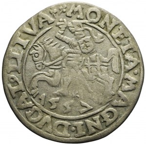 Zygmunt II August, Półgrosz 1557, Wilno, dwie koniczyny, rzadki