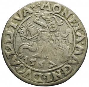 Sigismund II Augustus, Half-penny 1557, Vilnius, two clovers, rare