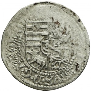 Silesia, Maciej I Korwin (1469- 1490), Half-penny without date, Wroclaw, rare