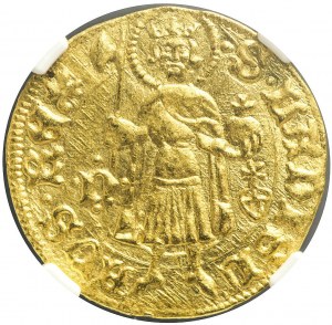 Węgry, Zygmunt Luksemburski (1387-1437), Goldgulden bez daty, Nagybania, piękny