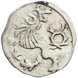 Śląsk, Zygmunt Luksemburski (1419-1437), Halerz bez daty, Wrocław