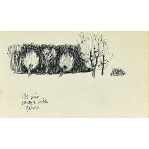 Ludwik MACIĄG (1920-2007), Skizze von Bäumen