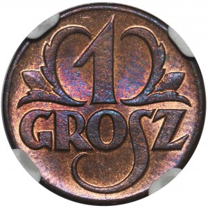 1 grosz 1923 - NGC MS65 RB