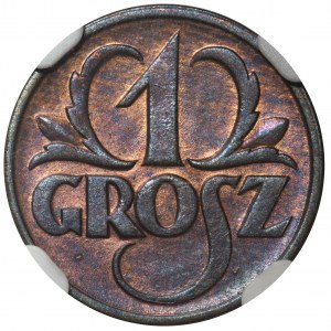 1 grosz 1927 - NGC MS65 BN