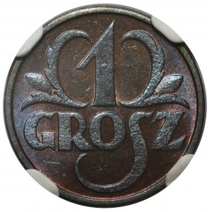 1 grosz 1931 - NGC MS65 BN