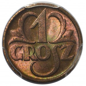 1 grosz 1938 - PCGS MS66 RB