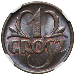 1 grosz 1925 - NGC MS66 BN 