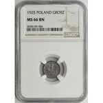 1 grosz 1925 - NGC MS66 BN 