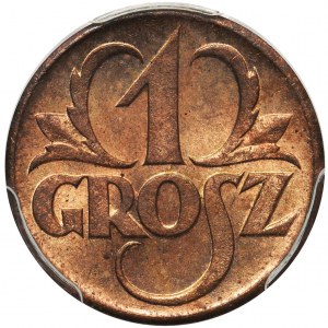 1 grosz 1923 - PCGS MS65 RD