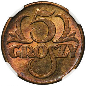 5 groszy 1923 - NGC MS64