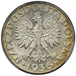 Żaglowiec 5 złotych 1936 - PCGS MS62