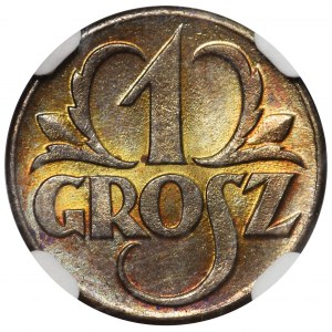 1 grosz 1923 - NGC MS66 BN