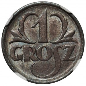 1 grosz 1925 - NGC MS63 BN 