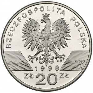 20 złotych 1998 - Ropucha Paskówka