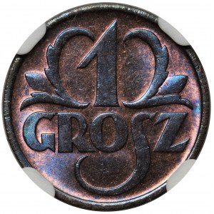 1 grosz 1935 - NGC MS66 RB