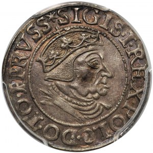 Zygmunt I Stary, Grosz Gdańsk 1538 - PCGS MS62