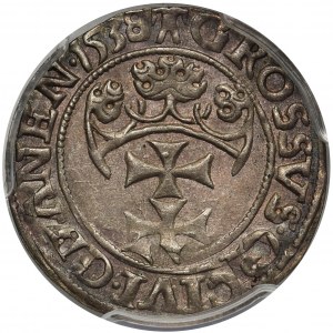 Zygmunt I Stary, Grosz Gdańsk 1538 - PCGS MS62