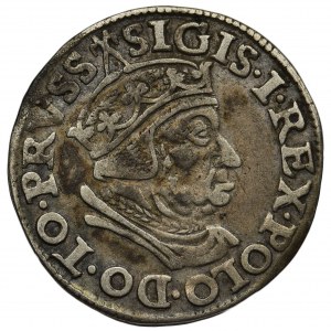 Zygmunt I Stary, Trojak Gdańsk 1538 