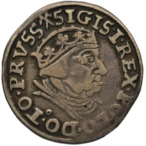 Zygmunt I Stary, Trojak Gdańsk 1539 