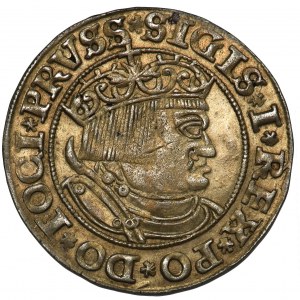Zygmunt I Stary, Grosz Toruń 1532 - szerokie popiersie